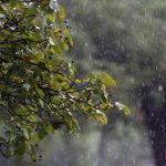 È ancora allerta meteo sul FVG. Piogge torrenziali ed allagamenti