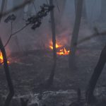 Si intensifica l’incendio nella regione di Nova Gorica sul Carso sloveno. Esplodono ordigni bellici