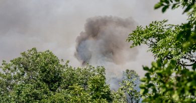 Incendi in Fvg: resta alta l’attenzione, ancora attivi i roghi di Padriciano e in Slovenia
