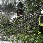 Valli del Friuli Occidentale, muore boscaiolo travolto da un albero