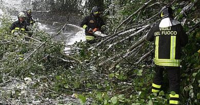 Valli del Friuli Occidentale, muore boscaiolo travolto da un albero