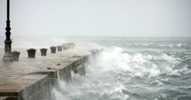 Allerta meteo per vento forte, maestrale e bora. 120 interventi dei Vigili del Fuoco