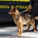 Un arresto per spaccio di droga a Lignano Sabbiadoro. Sequestrato 1 chilo di hashish