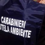 I carabinieri del NOE sequestrano 8.000 metri cubi di rifiuti stoccati in modo illecito