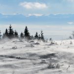 Allerta meteo gialla in montagna per vento forte sabato 4 febbraio: caduti alberi e cartelloni