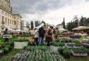 Nel fine settimana la XXI edizione della rassegna “Nel Giardino del Doge Manin”: