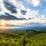 Consorzio tutela vini Friuli Colli Orientali Ramandolo verso il 50° con novità e idee per il futuro