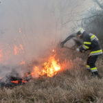 Incendio con fronte di 10 chilometri sulla ferrovia nel Carso triestino. Le foto