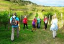 Turismo sostenibile in Friuli: verso la green mobility