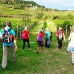 Turismo sostenibile in Friuli: verso la green mobility