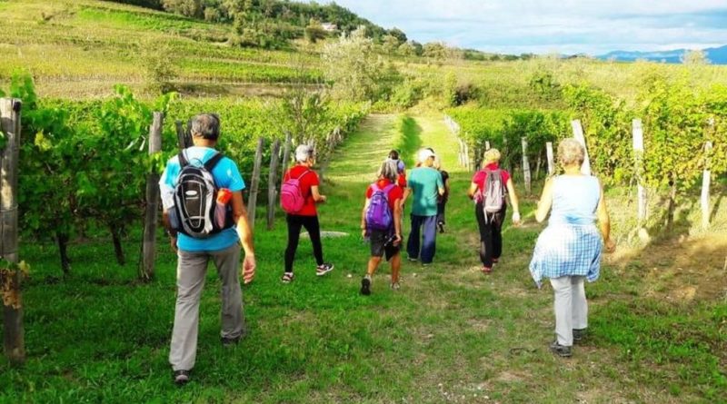 Terziario FVG: turismo trainante grazie alle numerose presenze straniere