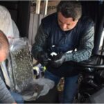 Trasportava 16 chili di marijuana dalla Spagna, arrestato camionista a Gonars