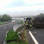 Si ribalta camion con pulcini in A23 tra Palmanova e Udine