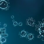 Dopo un giorno a zero, rispuntano i contagi di coronavirus in FVG: tre nuovi casi. Nessuna vittima