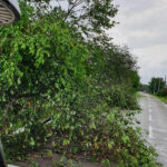 Ancora allerta meteo per temporali e piogge forti. Allagamenti e alberi caduti