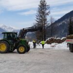 Animali selvatici in difficoltà per le nevicate abbondanti, attivato il foraggiamento artificiale
