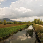 Giornata della Terra: Confagricoltura FVG rilancia il ruolo delle imprese agricole nella difesa dell'ambiente