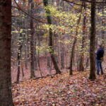 Con “Sapori del Carso" due escursioni a cura di Curiosi di Natura