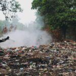 Legambiente, Rapporto Ecomafie 2021: oltre 500 reati ambientali l’anno in Friuli Venezia Giulia