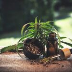 CBD per alleviare lo stress: ecco come funziona