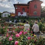Al via la rassegna culturale “Rose Libri Musica Vino”: tutti i venerdì di maggio al Parco di San Giovanni a Trieste