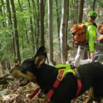 Escursionista disperso sul Matajur dal 25 giugno, proseguono le ricerche