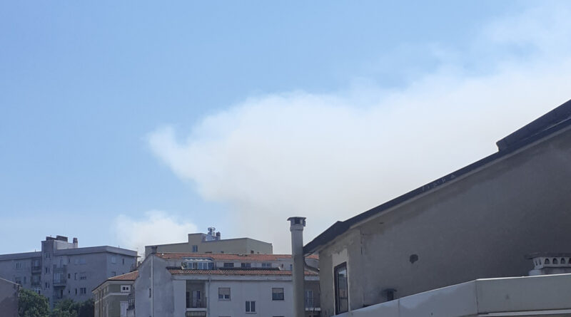 Incendio tra Caresana e San Dorligo della Valle: fiamme sotto controllo, abitanti rientrati nelle case