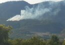 Incendio boschivo a Caneva spento in tempi da record