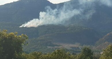 Incendio boschivo a Caneva spento in tempi da record