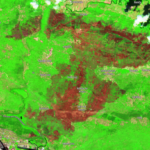 Le aree degli incendi sul Carso analizzate dal satellite: bruciati oltre 3700 ettari di bosco