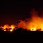 L'emergenza incendi richiede azioni preventive su larga scala: l'appello del sindaco di Monfalcone