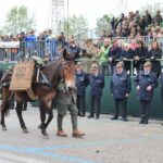 Si è chiusa senza disagi la 94ª Adunata degli Alpini. La “stecca” passa ora a Vicenza