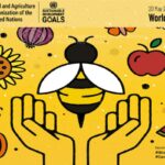 Il 20 maggio si celebra la Giornata mondiale delle api. Eventi dedicati in Friuli Venezia Giulia