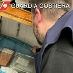Guardia Costiera di Porto Nogaro e Marano Lagunare: 7.000 euro di sanzioni e 90 chili di prodotti ittici sequestrati