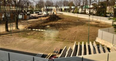 Legambiente Pordenone: il taglio degli alberi in ex Fiera danno irreparabile per la città