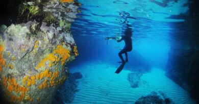 Al via Mare Sopra: un docufilm e la tavola rotonda sul futuro delle nostre coste