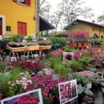 Nel fine settimana del 20 e 21 aprile si svolge a Trieste la rassegna di piante e fiori Horti Tergestini