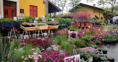 Nel fine settimana del 20 e 21 aprile si svolge a Trieste la rassegna di piante e fiori Horti Tergestini