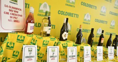 Ribolla e Friulano nella top ten dei vini più in crescita nella classifica delle vendite