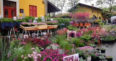 Al via domani la XVIII edizione di Horti Tergestini: la rassegna di fiori e piante e  molto altro ancora