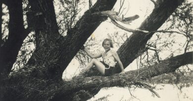 Al Magazzino delle Idee la mostra fotografica “Io non scendo. Storie di donne che salgono sugli alberi e guardano lontano” a cura della giornalista Laura Leonelli