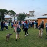 Ai nastri di partenza “Olio e dintorni”: la manifestazione dedicata alla conoscenza dell’olio extra vergine d' oliva del Friuli Venezia Giulia