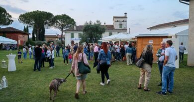 Ai nastri di partenza “Olio e dintorni”: la manifestazione dedicata alla conoscenza dell’olio extra vergine d’ oliva del Friuli Venezia Giulia