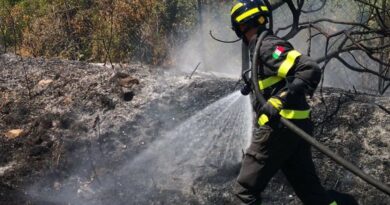 Incendi in Carnia. La consigliera Costanza: vicinanza alle comunità e gratitudine a chi sta operando
