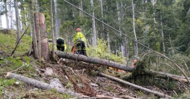 Incidente mortale per un boscaiolo a Sappada
