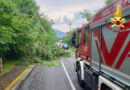 Ondata di maltempo in FVG, è ancora allerta arancione fino al pomeriggio. Forti accumuli di pioggia e raffiche di vento