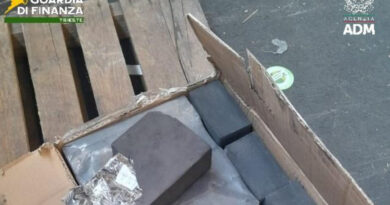Trieste, maxi sequestro di oppio al porto, 30 chili nascosti in mattoni e oggetti decorativi