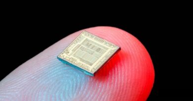 Chip, Semiconduttori e Circuiti integrati: comprendere le differenze