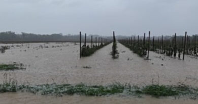 Allerta meteo arancione in Friuli Venezia Giulia, record di piogge. Oltre 400 le chiamate al NUE
