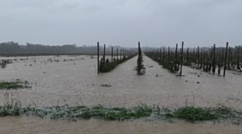 Allerta meteo arancione in Friuli Venezia Giulia, record di piogge. Oltre 400 le chiamate al NUE